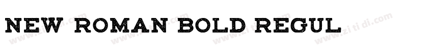 New Roman Bold Regul字体转换